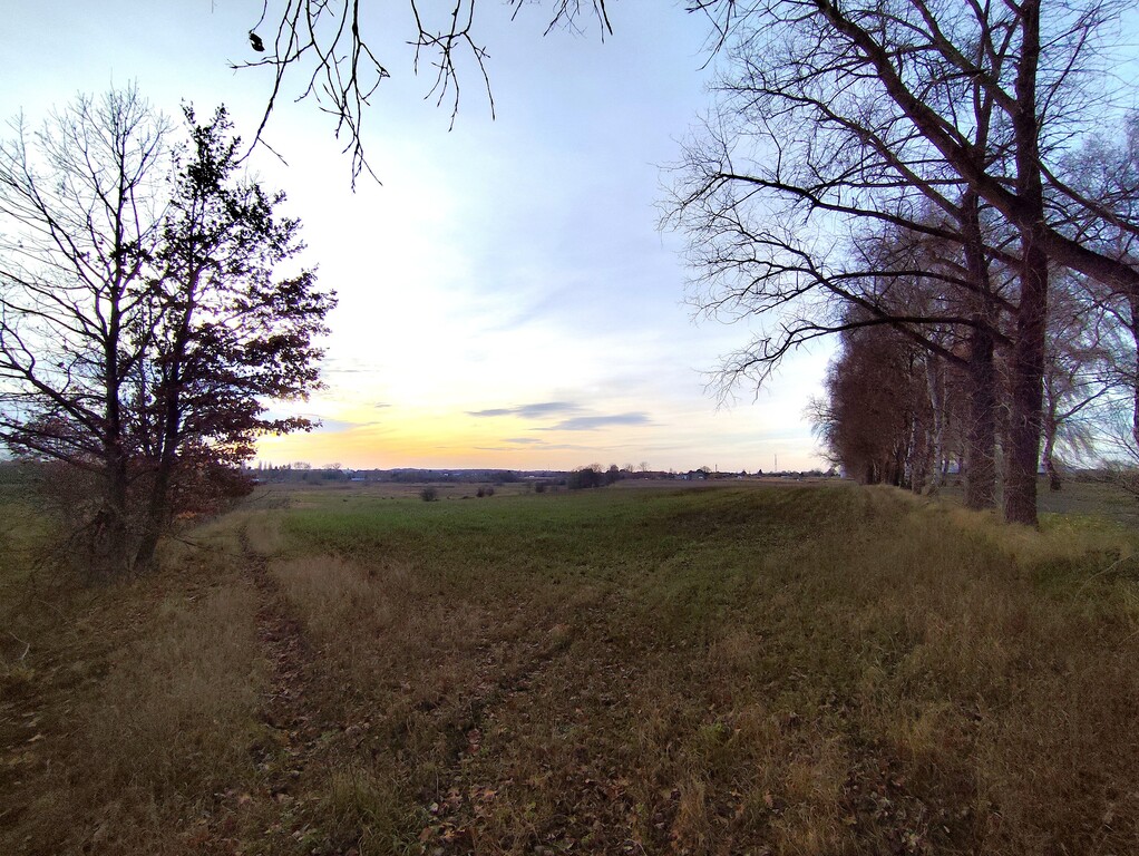 Działka na sprzedaż Wojcieszyn 32 500 m2 | Arka Nieruchomości