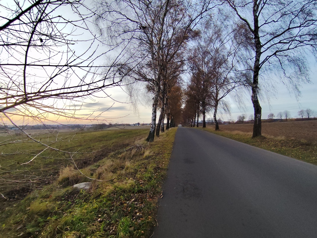 Działka na sprzedaż Wojcieszyn 32 500 m2 | Arka Nieruchomości