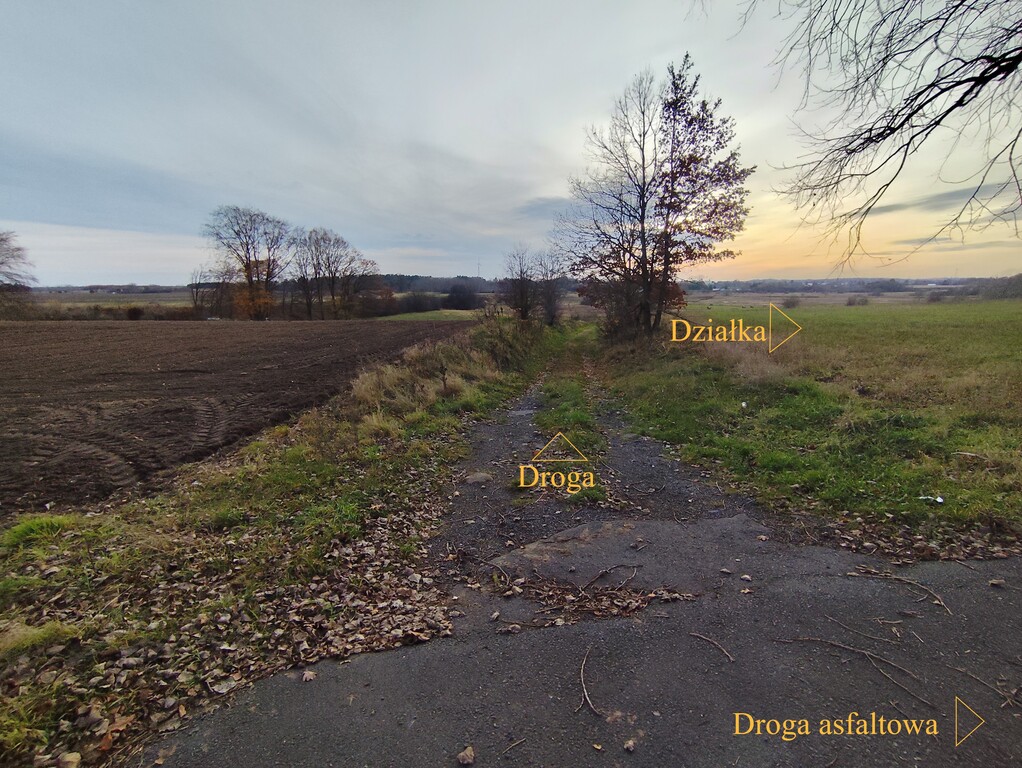 Działka na sprzedaż Wojcieszyn 32 500 m2 | Arka Nieruchomości