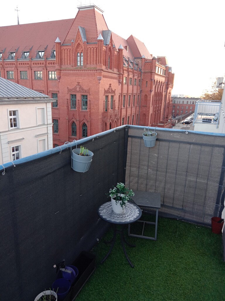 Mieszkanie na wynajem Szczecin, Centrum 54 m2 | Arka Nieruchomości