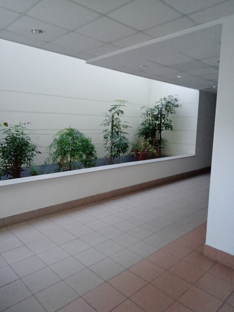 Mieszkanie na wynajem Szczecin, Centrum 54 m2 | Arka Nieruchomości