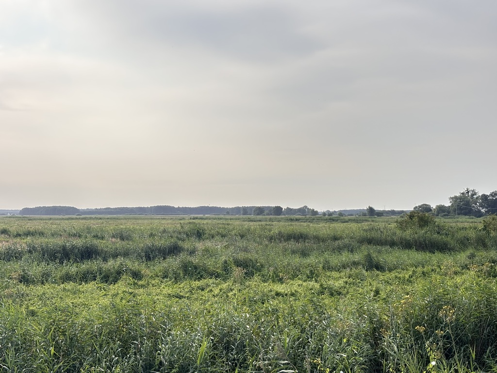 Działka na sprzedaż Komarowo 20 093 m2 | Arka Nieruchomości