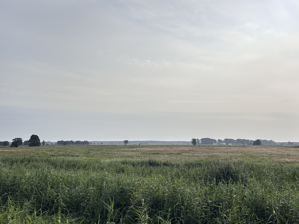 Działka na sprzedaż Komarowo 20 093 m2 | Arka Nieruchomości