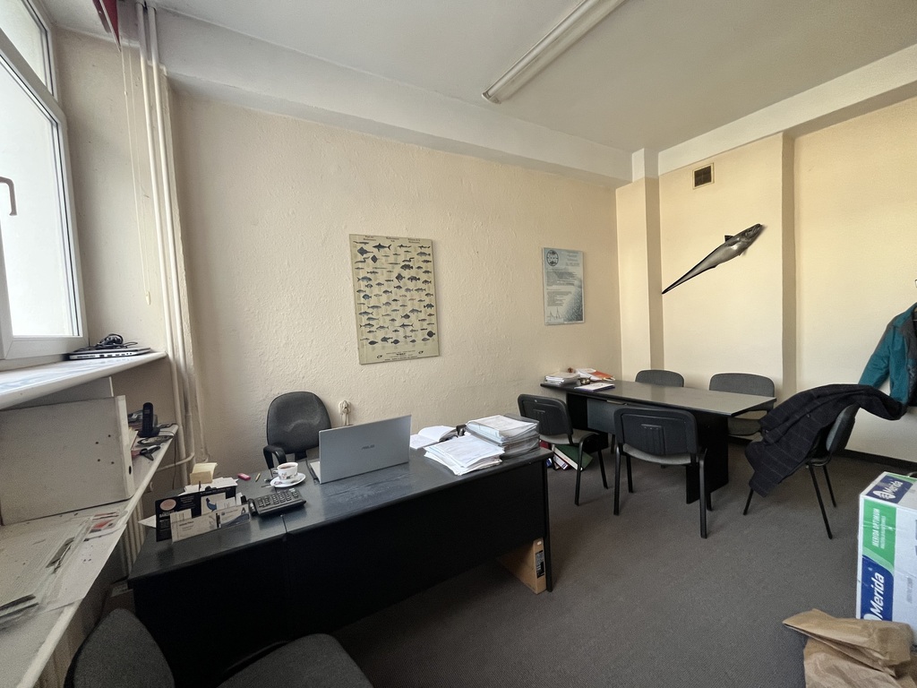 Lokal na sprzedaż Szczecin, Śródmieście 115 m2 | Arka Nieruchomości