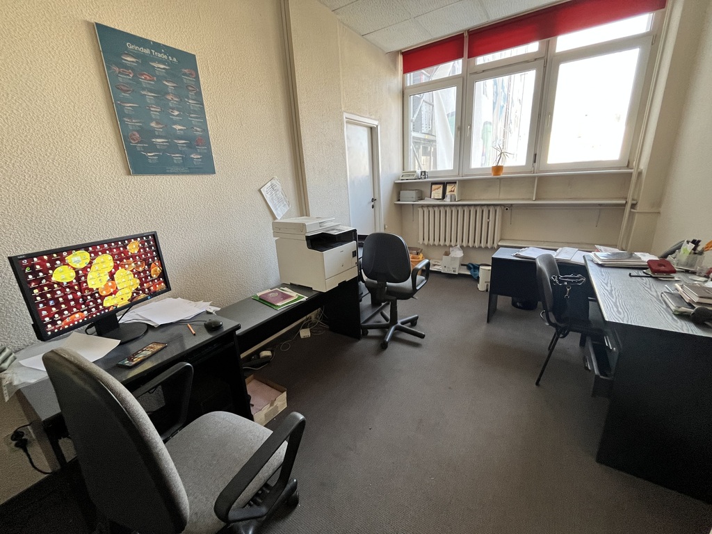 Lokal na sprzedaż Szczecin, Śródmieście 115 m2 | Arka Nieruchomości