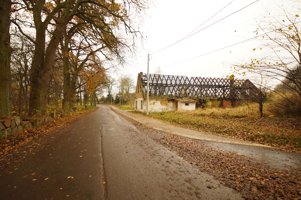 Działka na sprzedaż Radzanek 8 900 m2 | Arka Nieruchomości