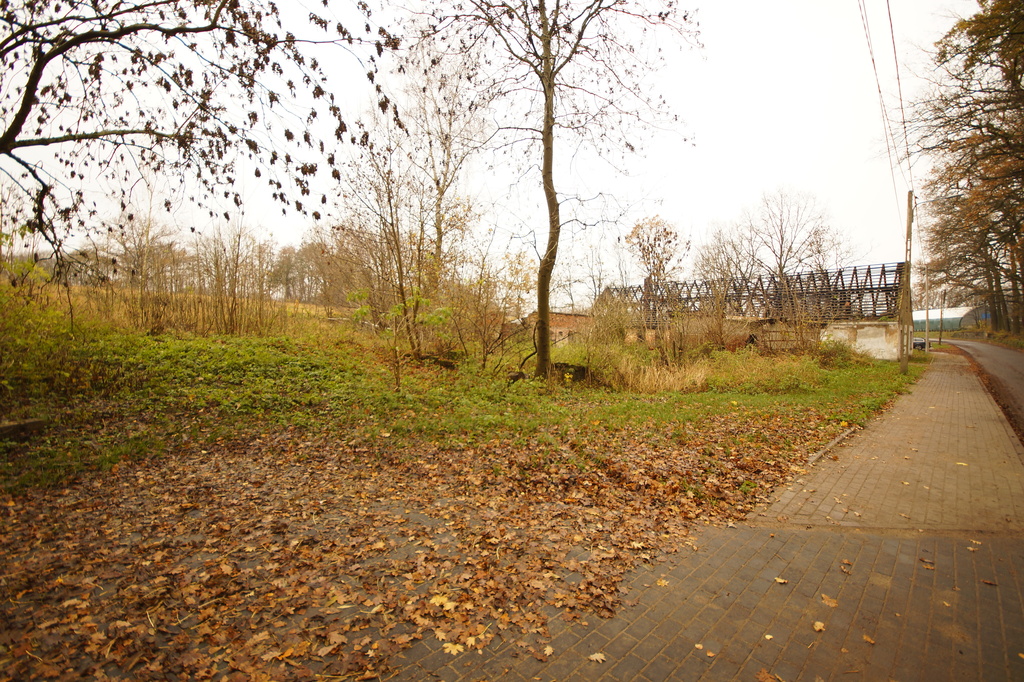 Działka na sprzedaż Radzanek 8 900 m2 | Arka Nieruchomości