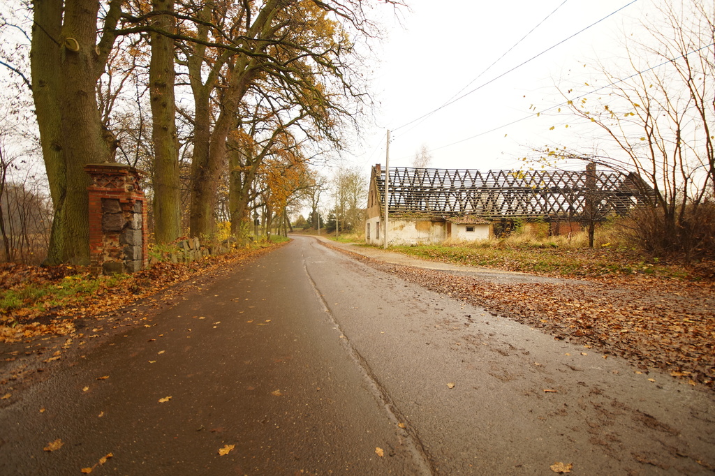 Działka na sprzedaż Radzanek 8 900 m2 | Arka Nieruchomości