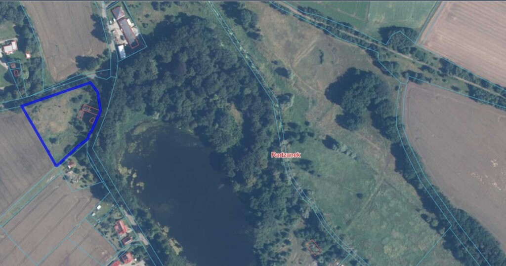 Działka na sprzedaż Radzanek 8 900 m2 | Arka Nieruchomości
