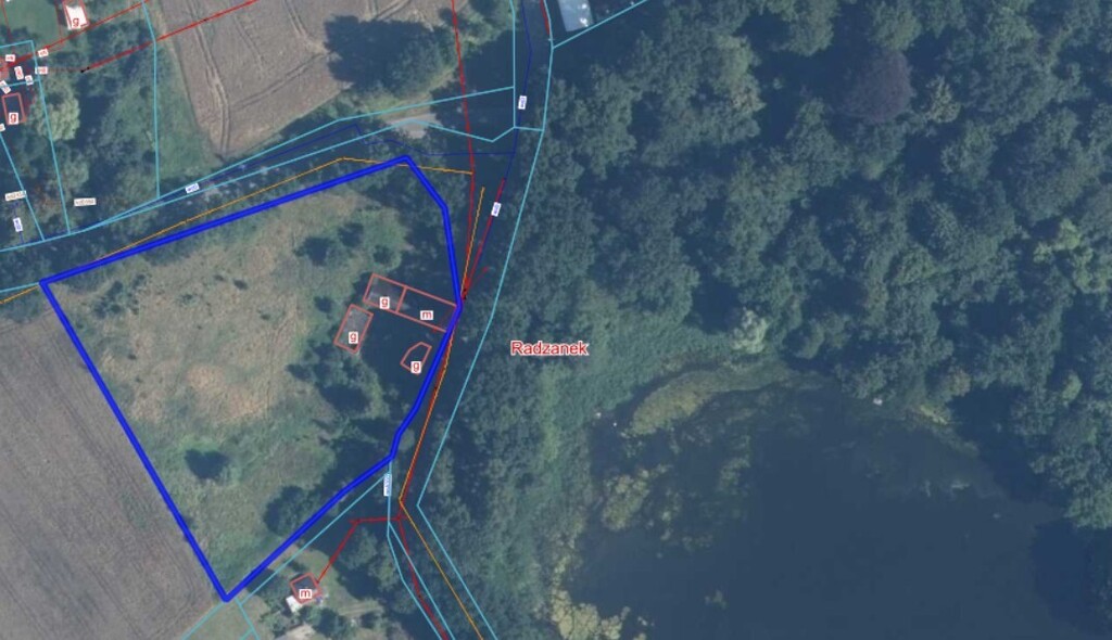 Działka na sprzedaż Radzanek 8 900 m2 | Arka Nieruchomości
