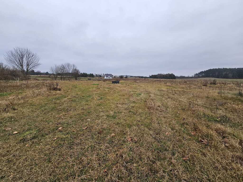 Działka na sprzedaż Dalęcino 5 009 m2 | Arka Nieruchomości