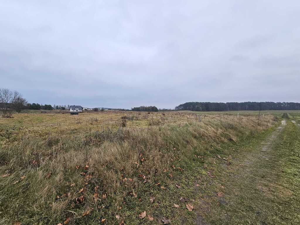 Działka na sprzedaż Dalęcino 5 009 m2 | Arka Nieruchomości