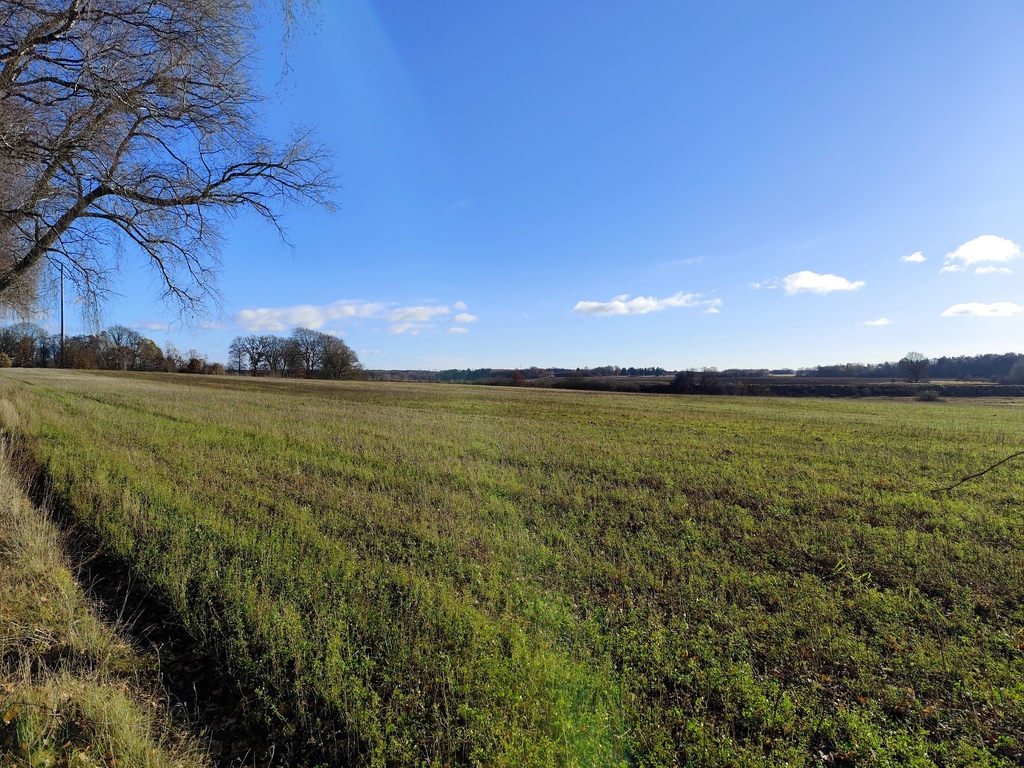 Działka na sprzedaż Wojcieszyn 32 500 m2 | Arka Nieruchomości