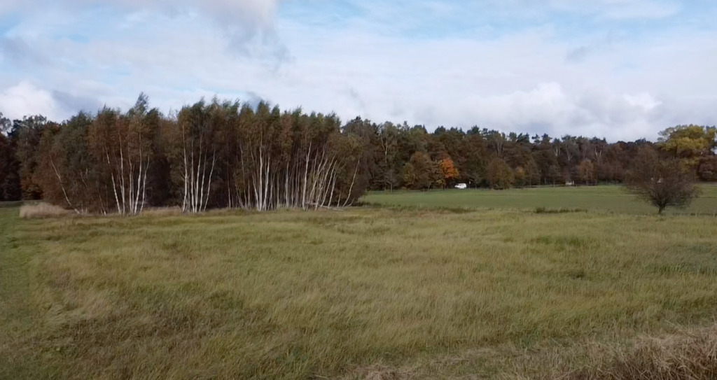 Działka na sprzedaż Chrząstowo 3 000 m2 | Arka Nieruchomości