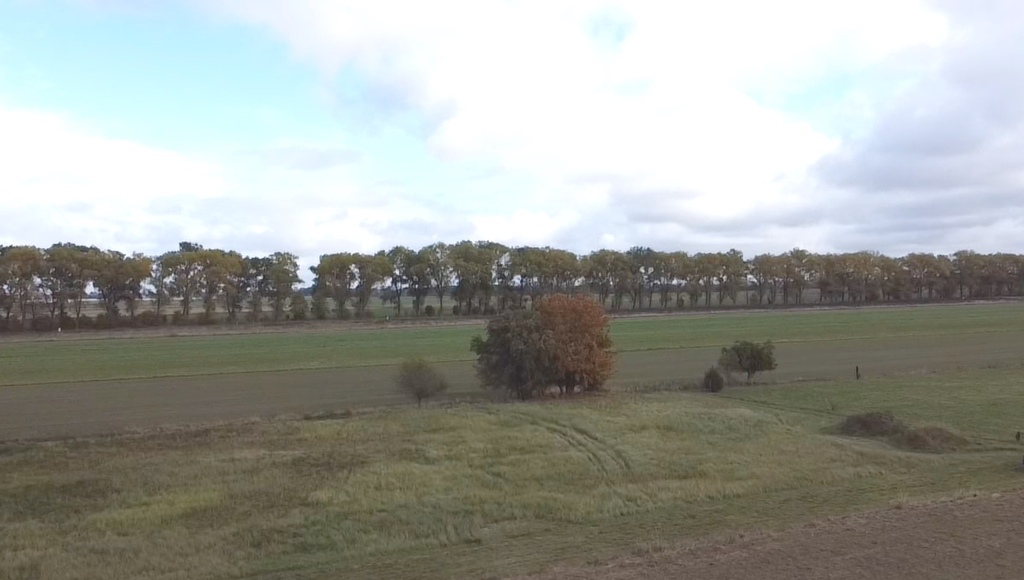 Działka na sprzedaż Chrząstowo 3 000 m2 | Arka Nieruchomości