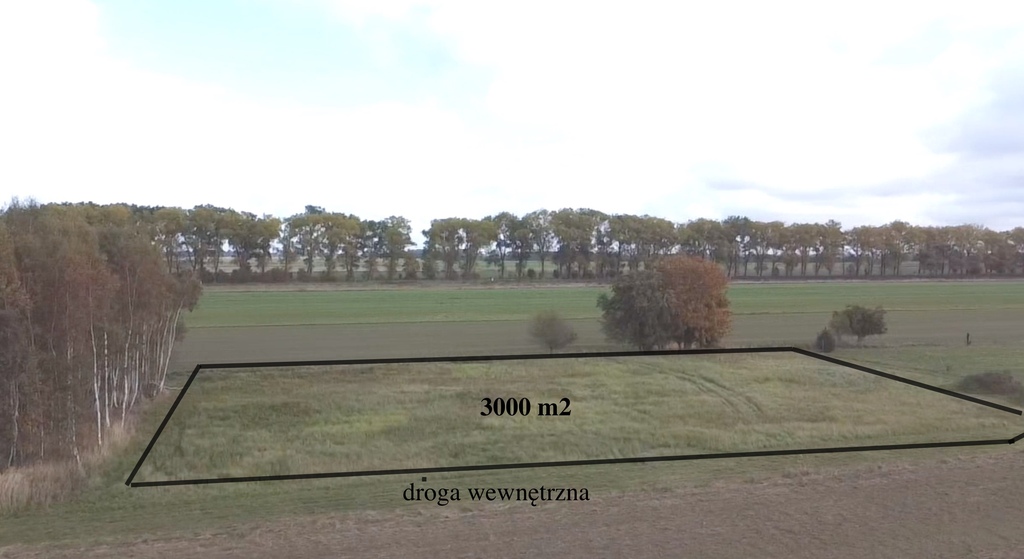 Działka na sprzedaż Chrząstowo 3 000 m2 | Arka Nieruchomości