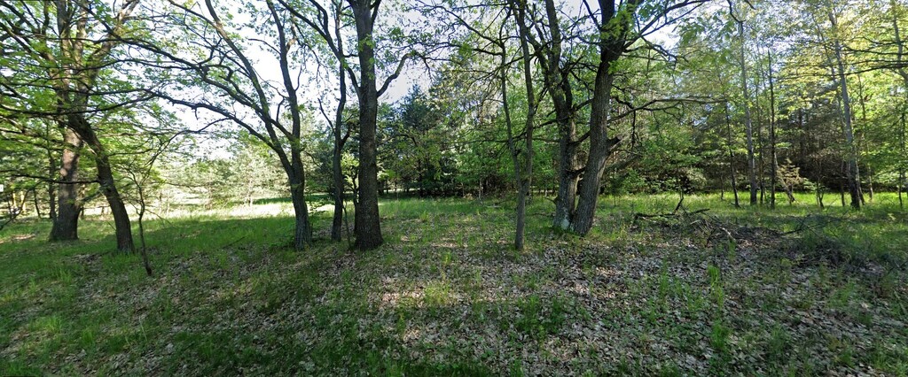 Działka na sprzedaż Ostrowiec 1 004 m2 | Arka Nieruchomości