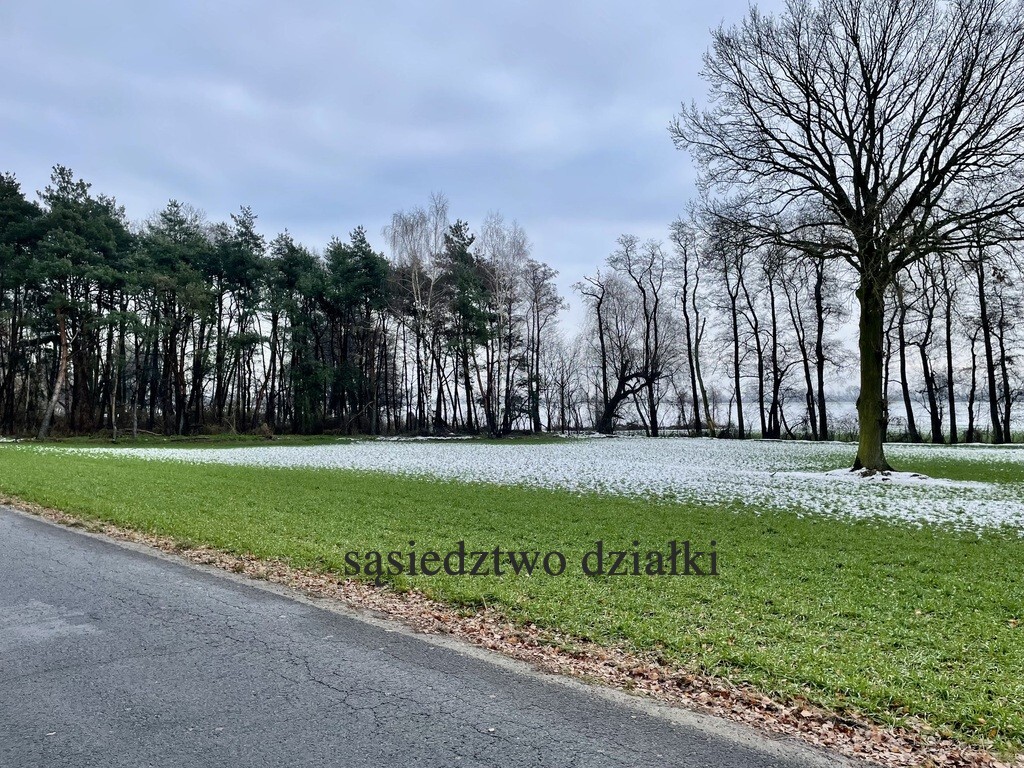 działki na sprzedaż