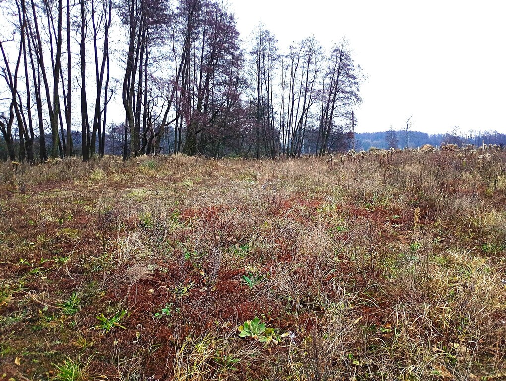 Działka na sprzedaż Stargard 1 200 m2 | Arka Nieruchomości