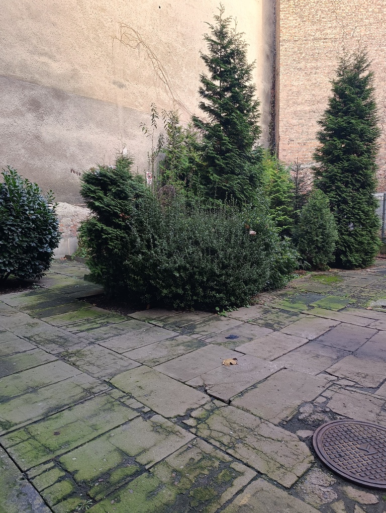 Mieszkanie na sprzedaż Szczecin, Śródmieście-Centrum 60 m2 | Arka Nieruchomości