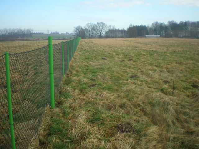 Działka na sprzedaż Brzozowo 27 300 m2 | Arka Nieruchomości