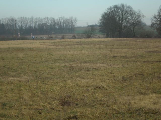 Działka na sprzedaż Brzozowo 27 300 m2 | Arka Nieruchomości