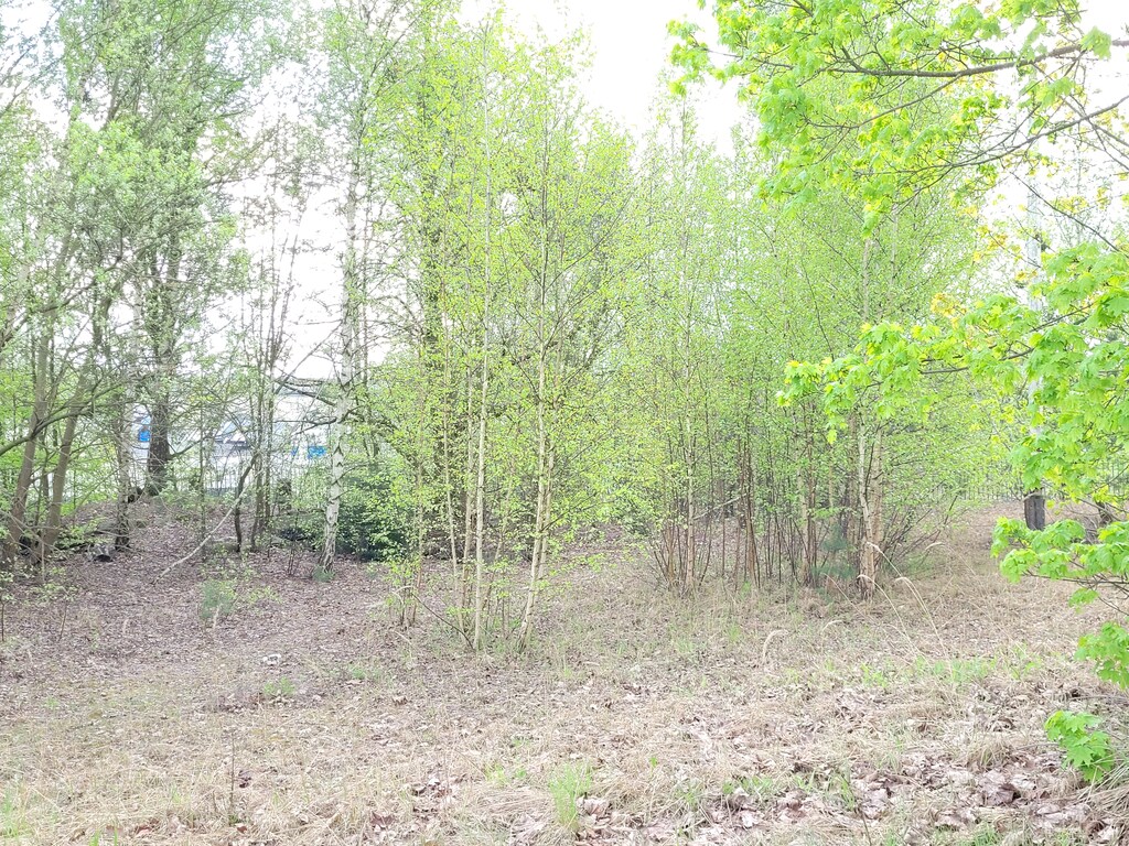 Działka na sprzedaż Recz 969 m2 | Arka Nieruchomości