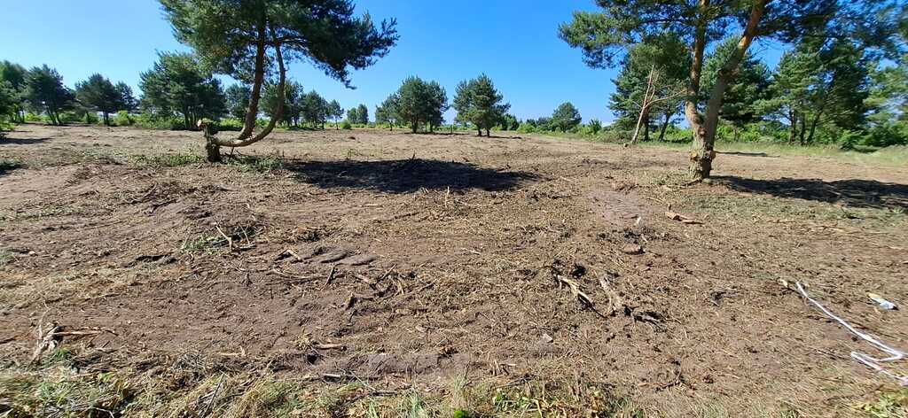 Działka na sprzedaż Miłowo 16 562 m2 | Arka Nieruchomości