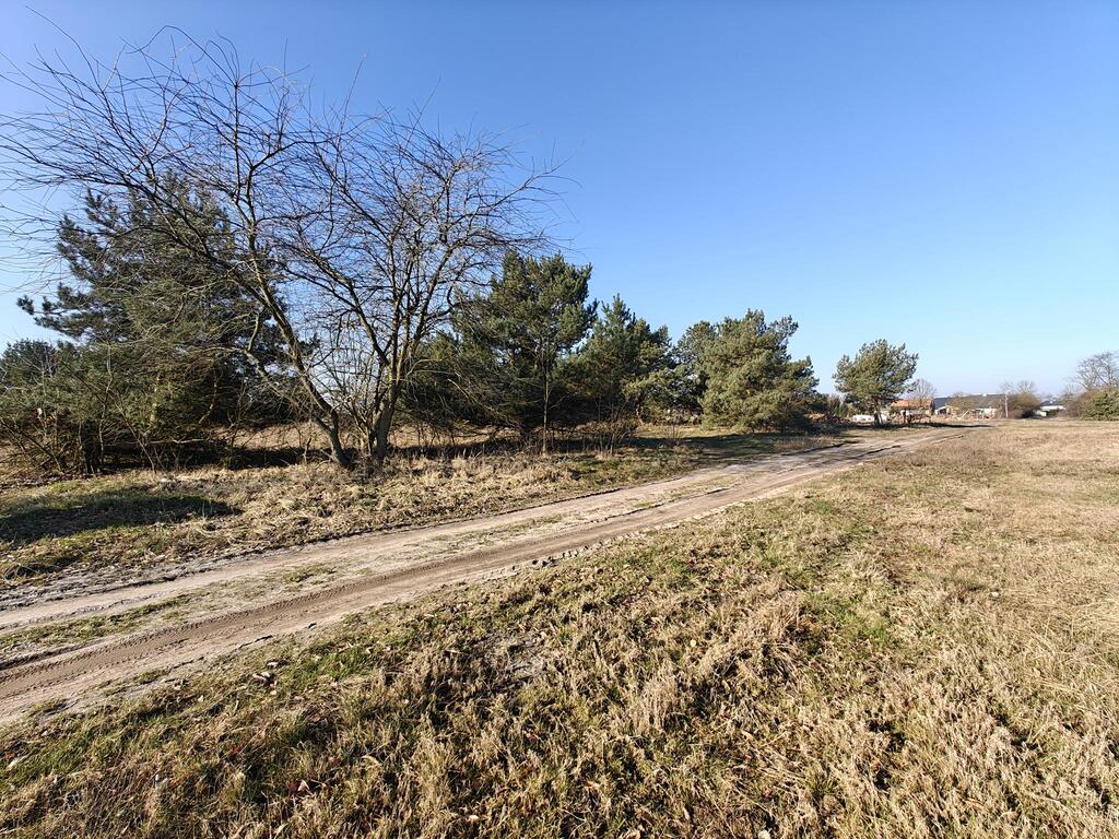 Działka na sprzedaż Miłowo 16 562 m2 | Arka Nieruchomości