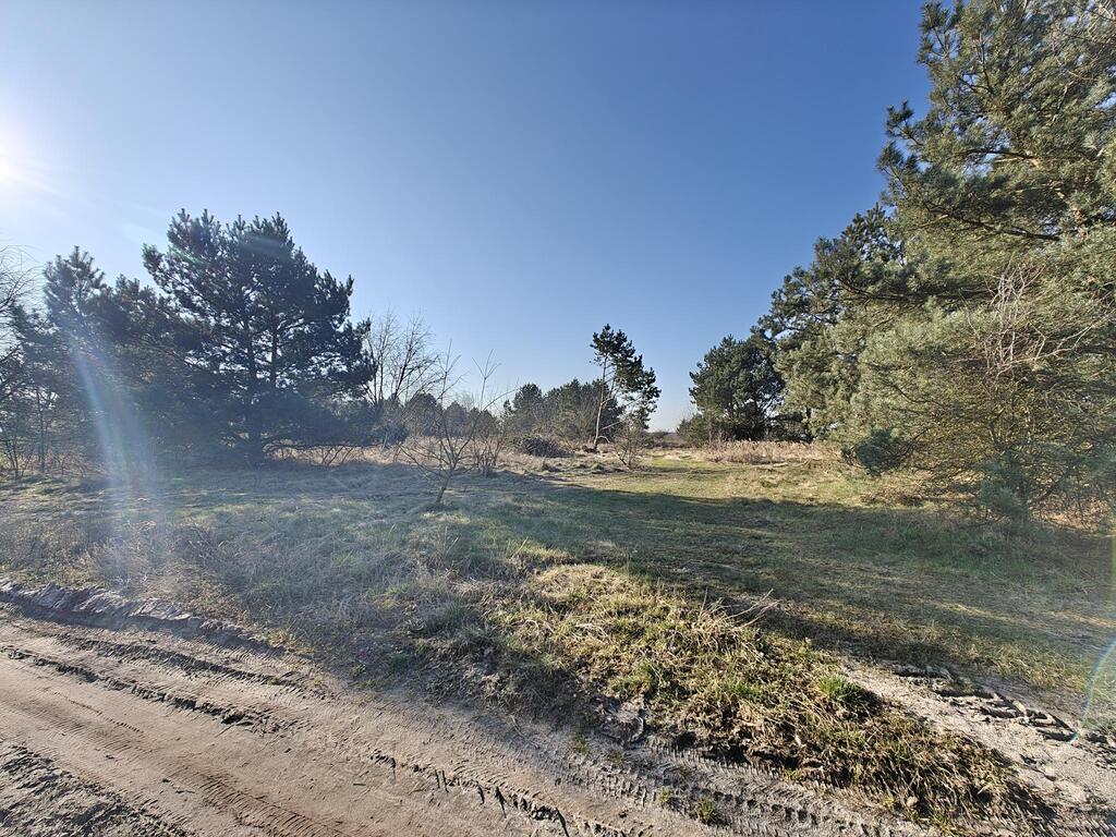 Działka na sprzedaż Miłowo 16 562 m2 | Arka Nieruchomości