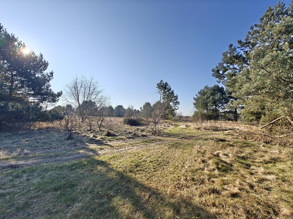 Działka na sprzedaż Miłowo 16 562 m2 | Arka Nieruchomości