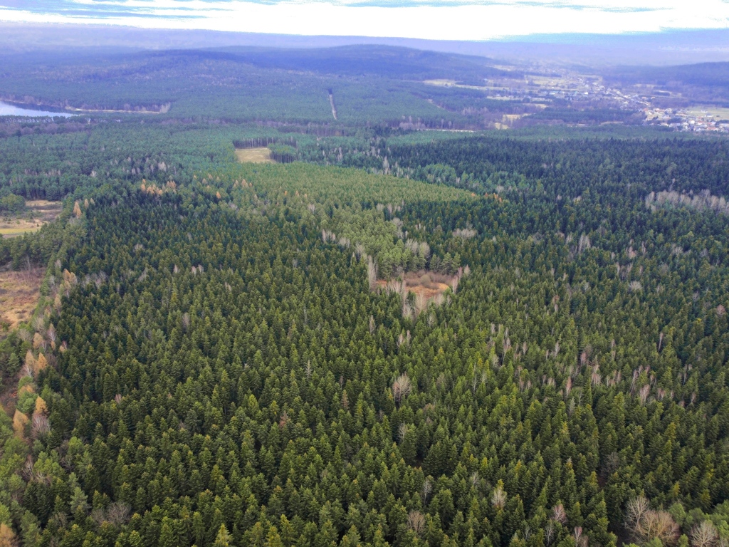 6 Działek Budowlanych Po 10 Ar. Kielce Suków.