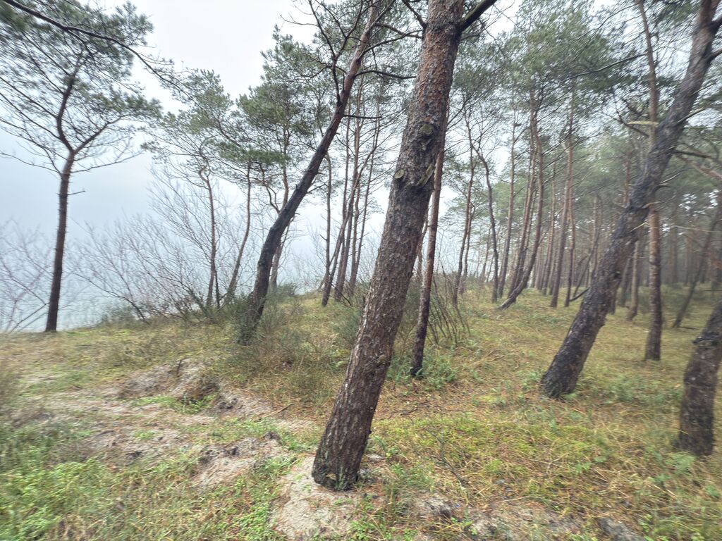 Mieszkanie na sprzedaż Międzywodzie 44 m2 | Arka Nieruchomości