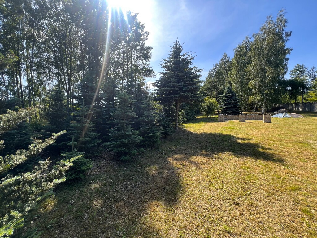 Twoja Prywatna Oaza Spokoju- Działka Z Potencjałem
