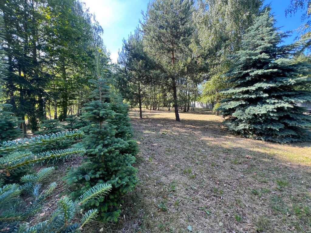 Twoja Prywatna Oaza Spokoju- Działka Z Potencjałem