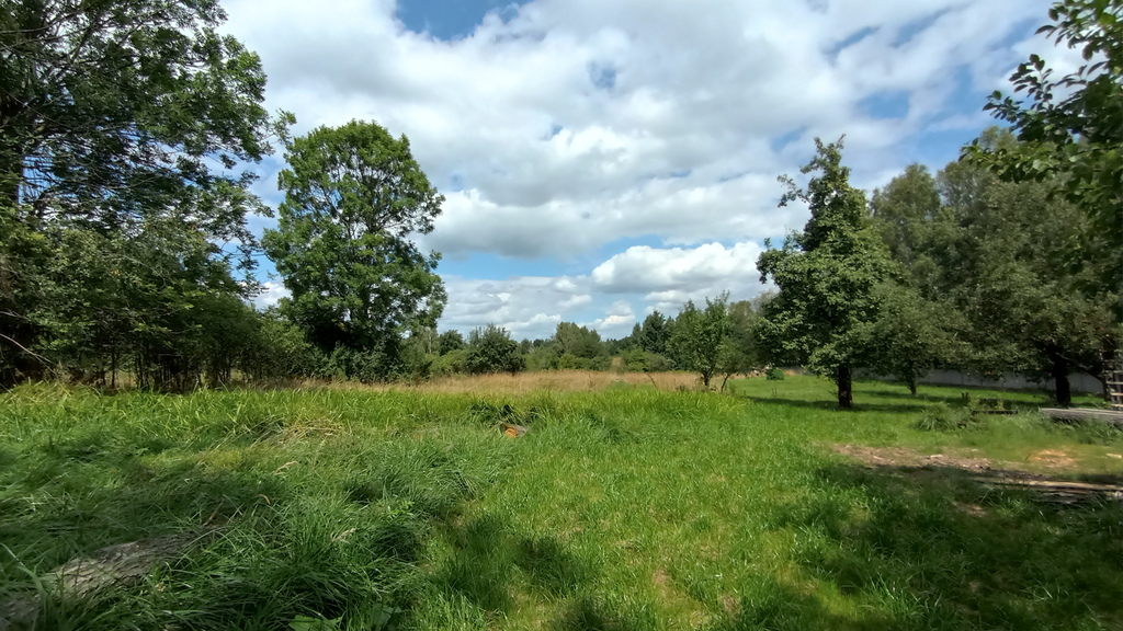 Ponad 4000m2 W Woli Zagrodniej