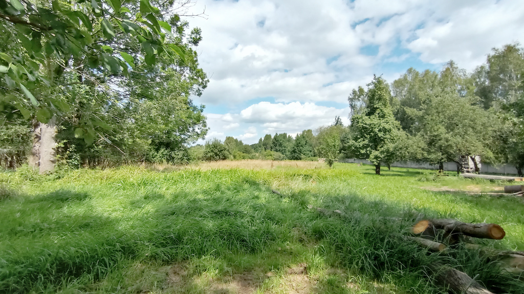 Ponad 4000m2 W Woli Zagrodniej
