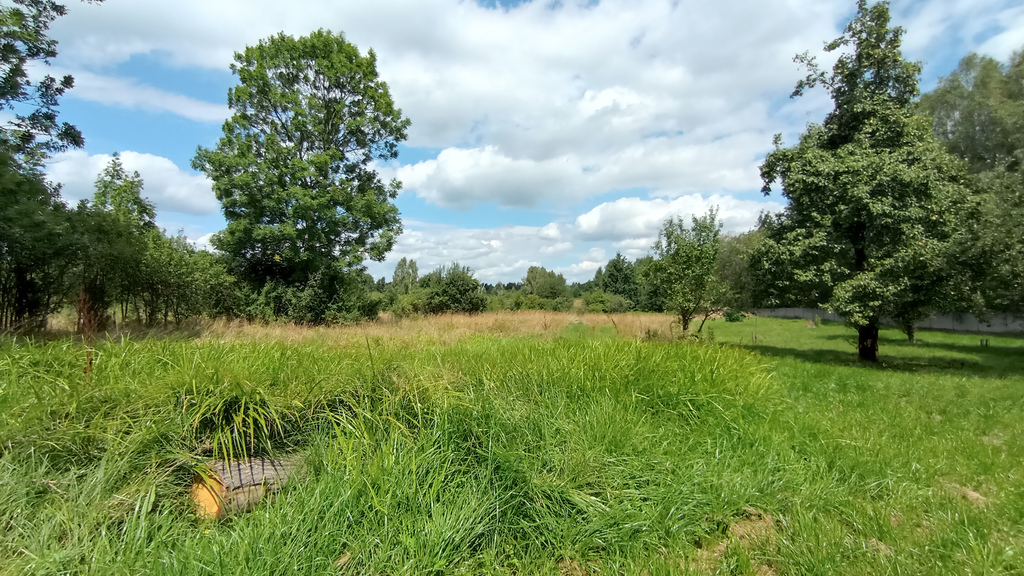 Ponad 4000m2 W Woli Zagrodniej