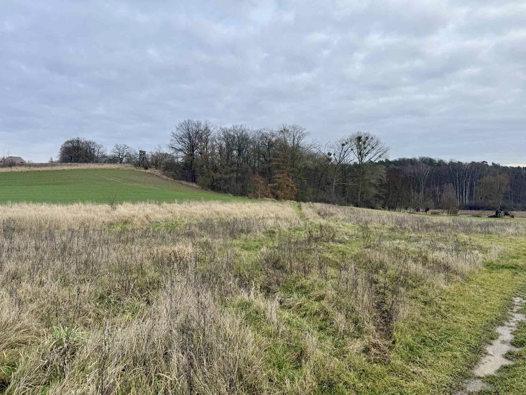 Działka na sprzedaż Kamieniec 3 006 m2 | Arka Nieruchomości