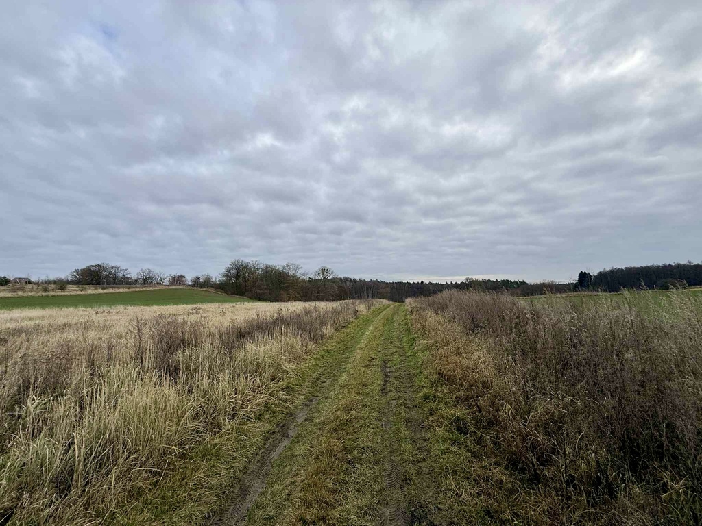 Działka na sprzedaż Kamieniec 3 006 m2 | Arka Nieruchomości