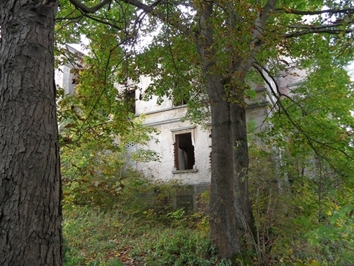 Obiekt na sprzedaż Wierzbięcin 574 m2 | Arka Nieruchomości