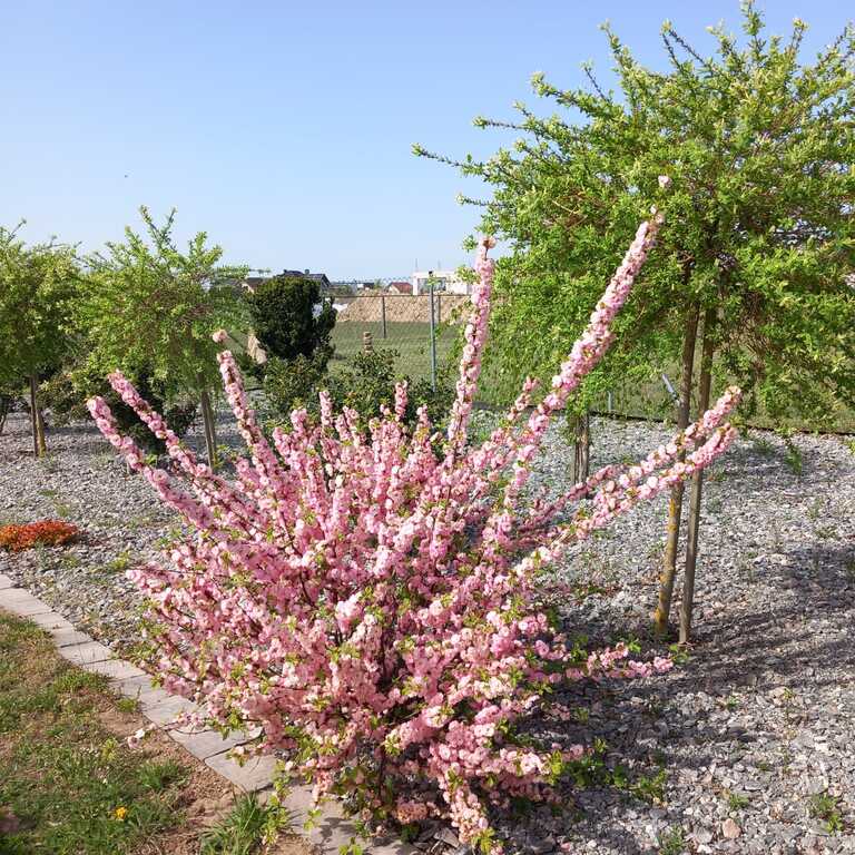 Dom na sprzedaż Szczecin 202 m2 | Arka Nieruchomości