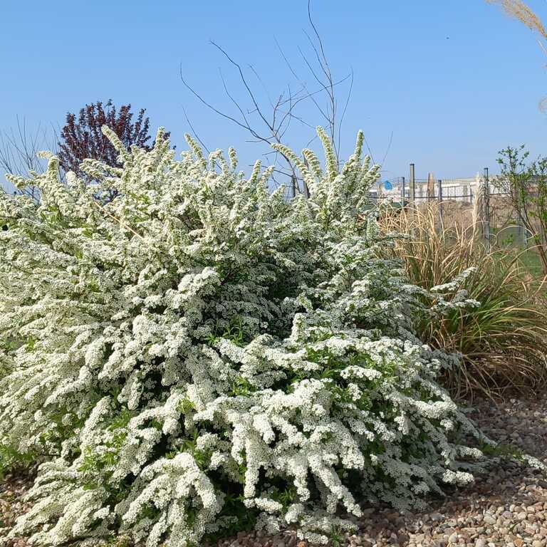 Dom na sprzedaż Szczecin 202 m2 | Arka Nieruchomości