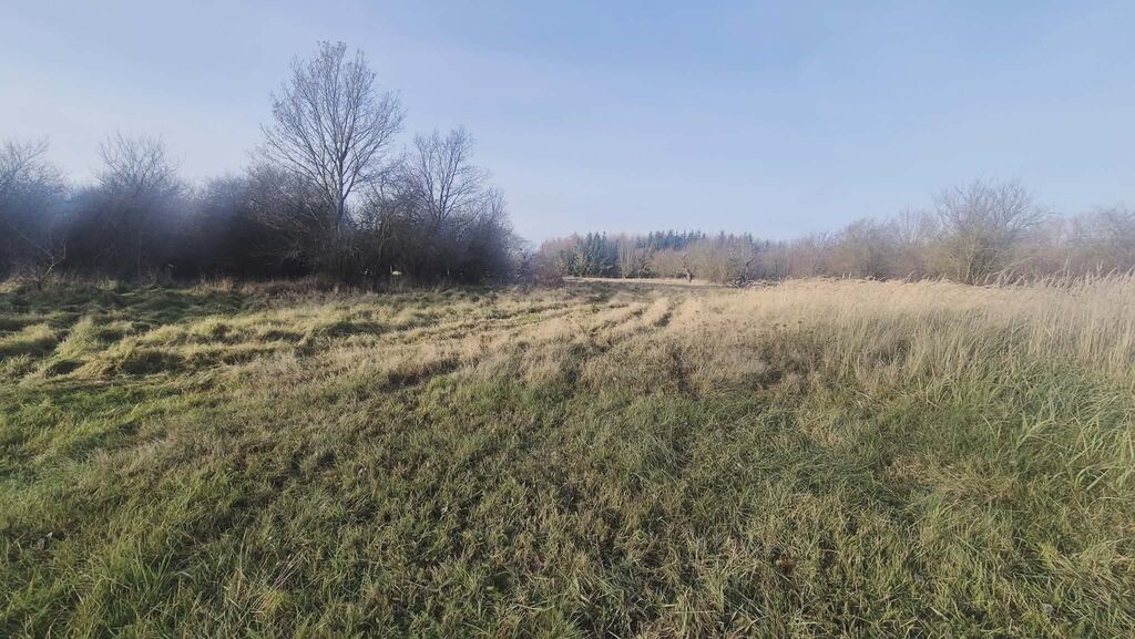 Działka na sprzedaż Tatynia 1 070 m2 | Arka Nieruchomości