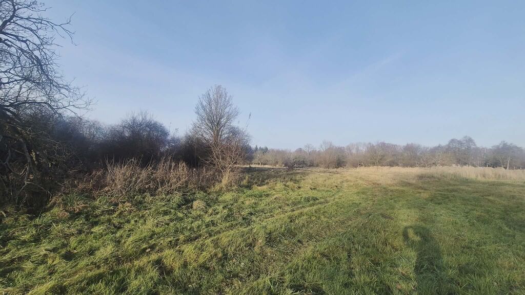 Działka na sprzedaż Tatynia 1 070 m2 | Arka Nieruchomości