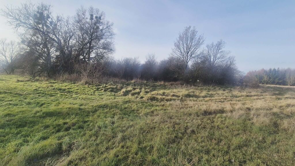 Działka na sprzedaż Tatynia 1 070 m2 | Arka Nieruchomości