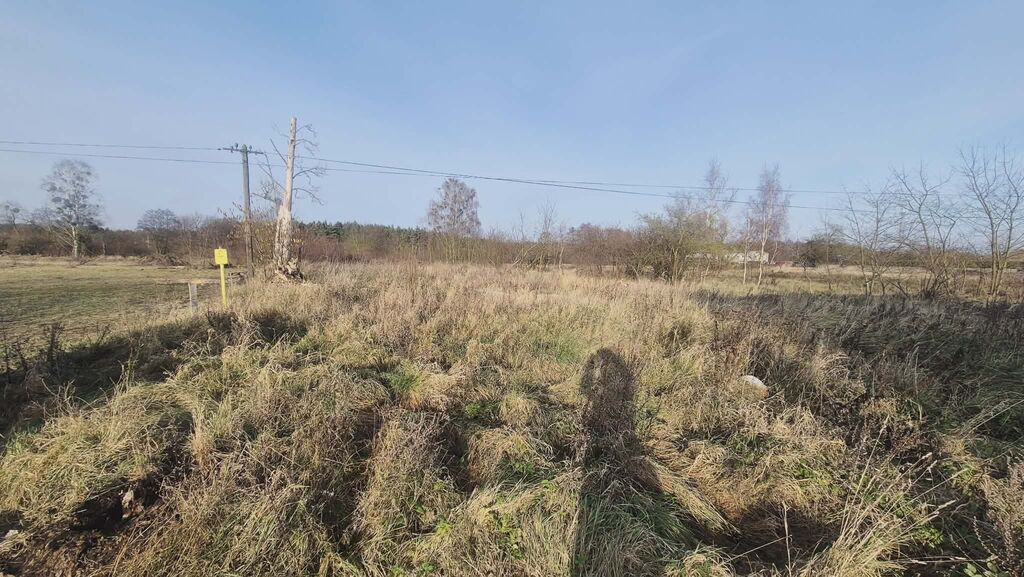 Działka na sprzedaż Tatynia 1 070 m2 | Arka Nieruchomości