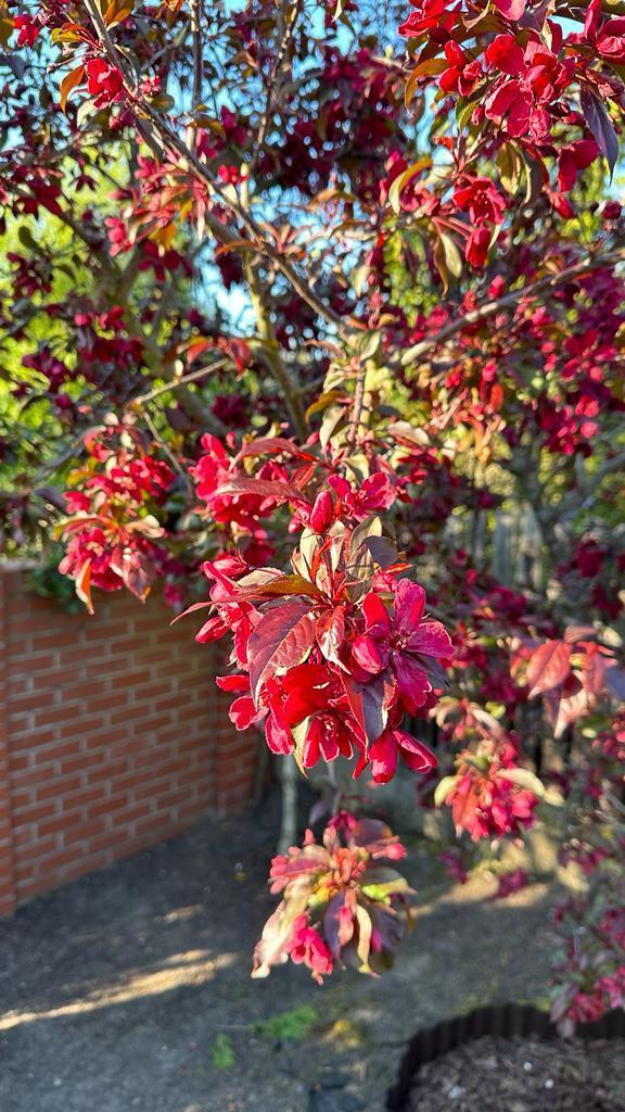 Dom na sprzedaż Mierzyn 299 m2 | Arka Nieruchomości