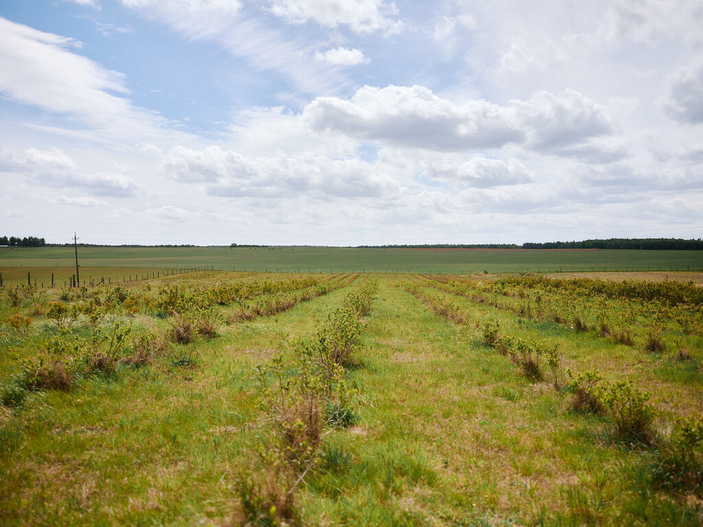 Dom na sprzedaż Storkowo 380 m2 | Arka Nieruchomości
