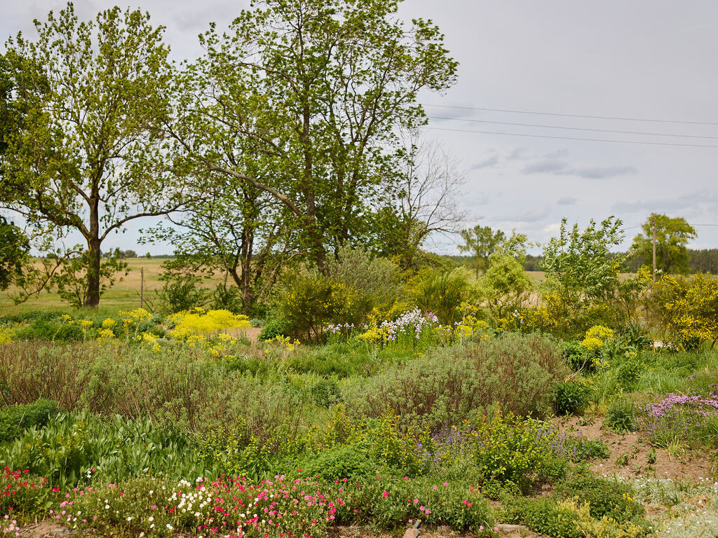 Dom na sprzedaż Storkowo 380 m2 | Arka Nieruchomości